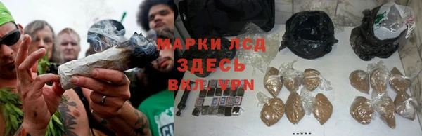 сатива Балахна