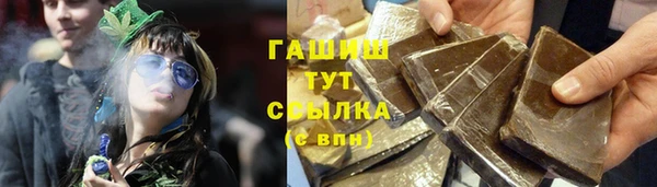 сатива Балахна
