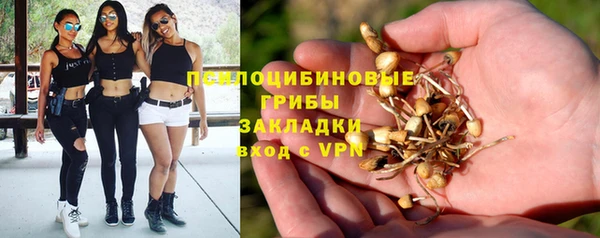 a pvp Балабаново