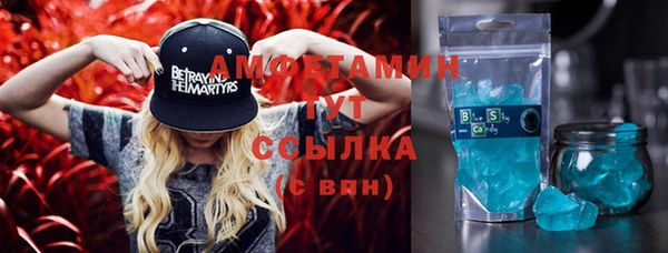 сатива Балахна