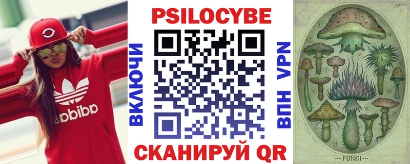 Псилоцибиновые грибы Magic Shrooms купить blacksprut рабочий сайт Курлово