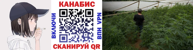 Каннабис OG Kush  как найти наркотики  Курлово 